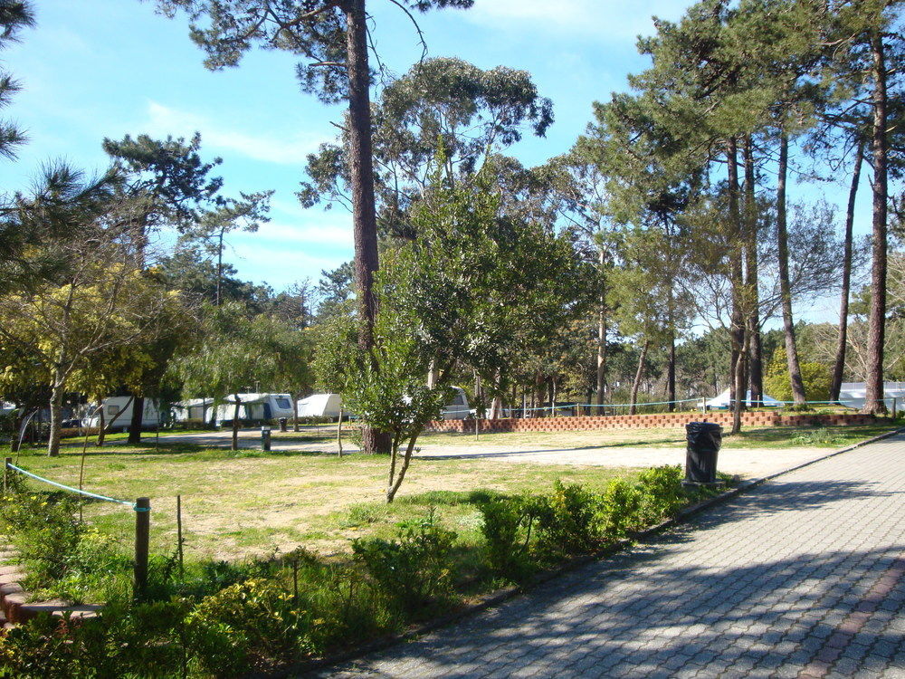 Parque De Campismo Orbitur Caminha 호텔 외부 사진