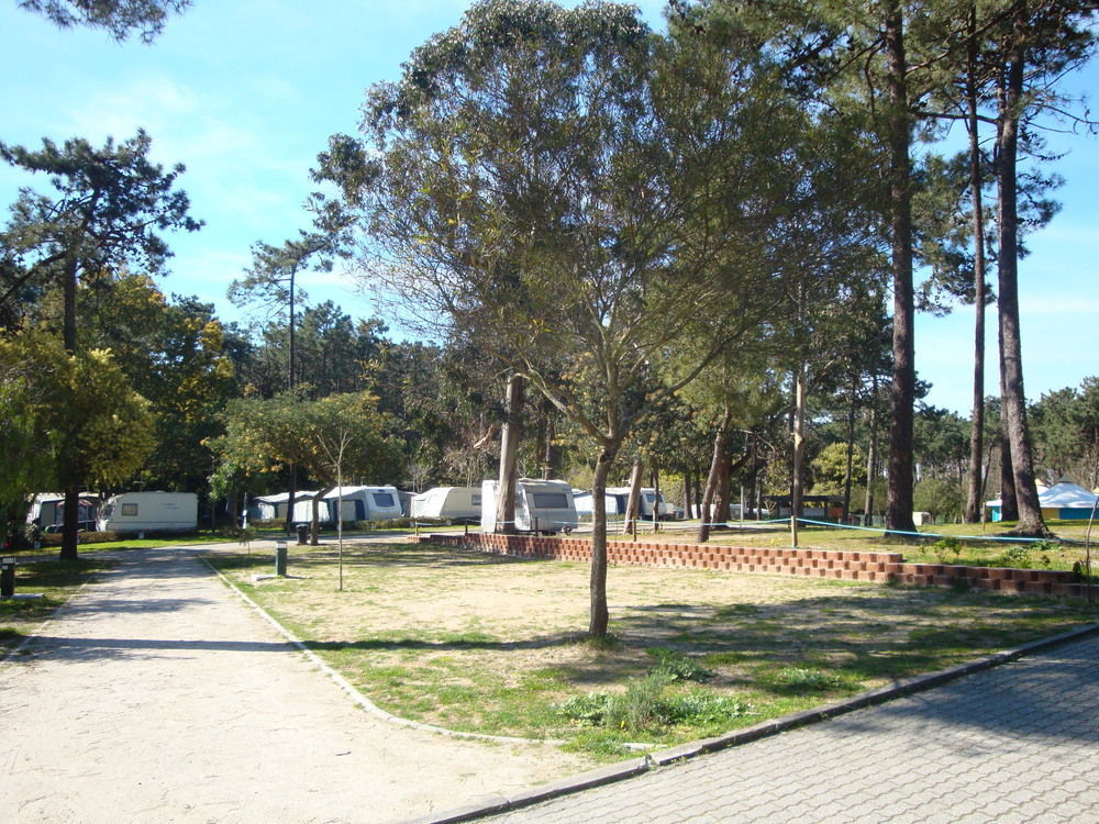 Parque De Campismo Orbitur Caminha 호텔 외부 사진